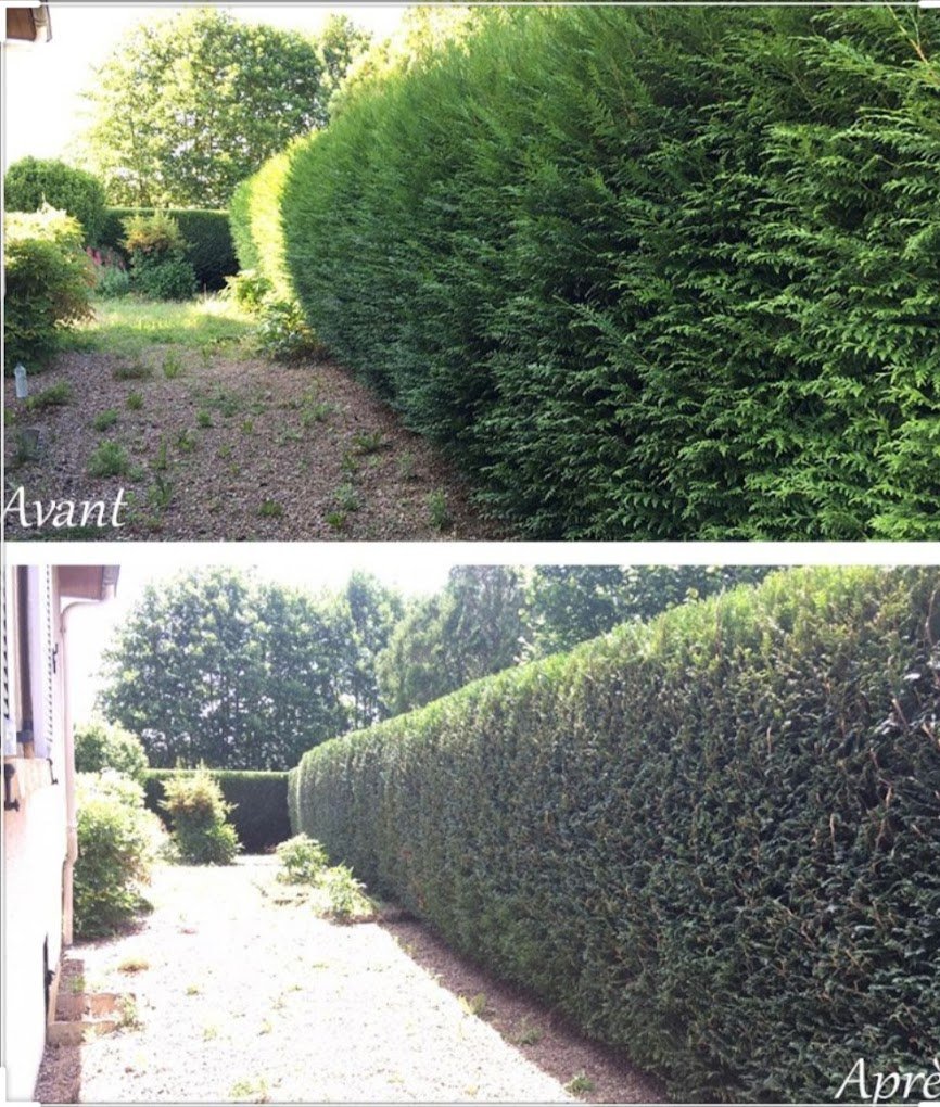 Entretien espaces verts - Photo 4